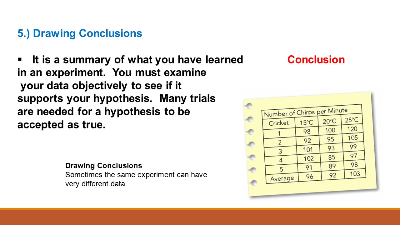 5.) Drawing Conclusions  It is a summary of what you have learnedConclusion in an experiment.