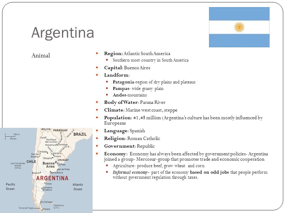 south america economy