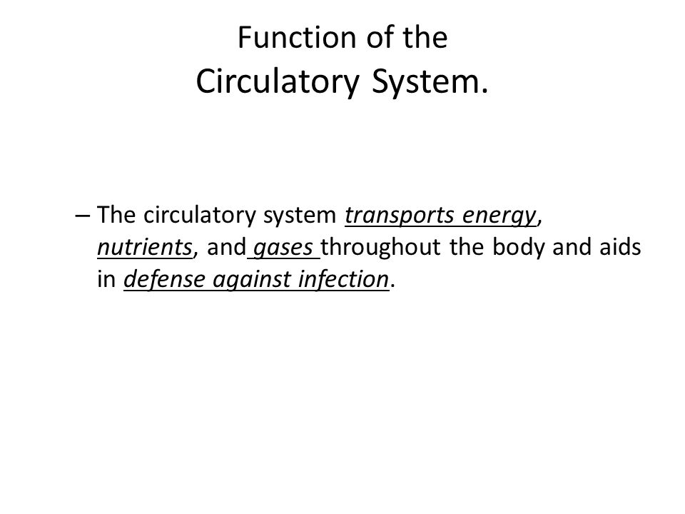 Function of the Circulatory System.