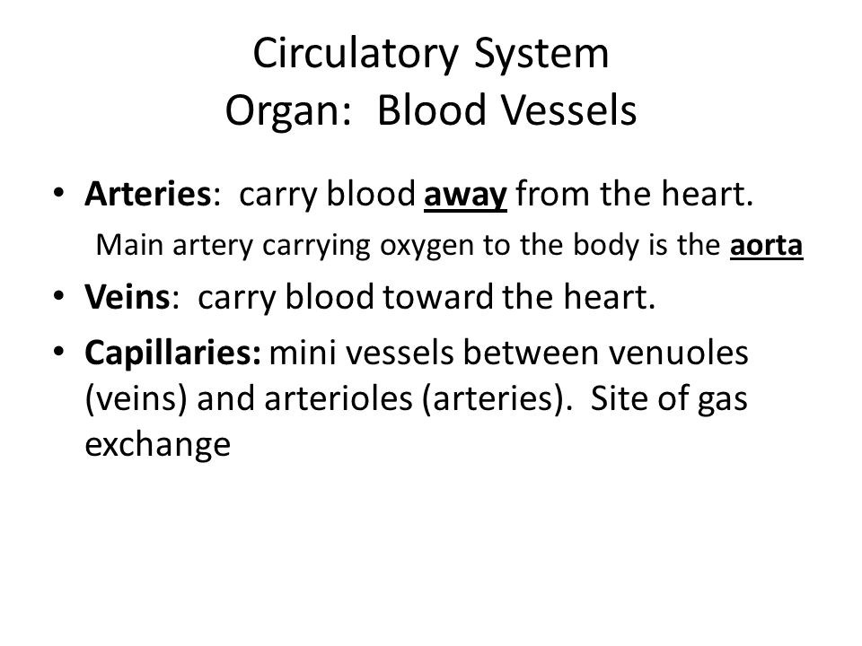 Circulatory System Organ: Blood Vessels Arteries: carry blood away from the heart.