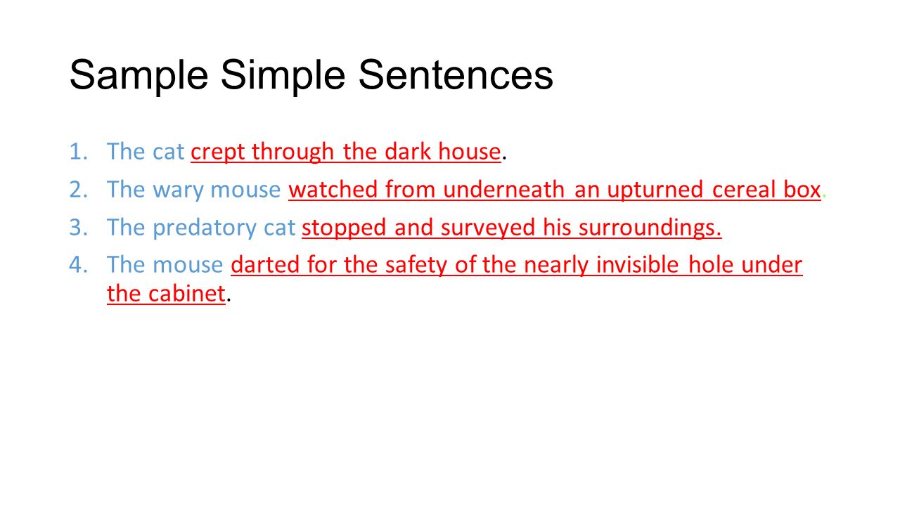Sample Simple Sentences 1.The cat crept through the dark house.