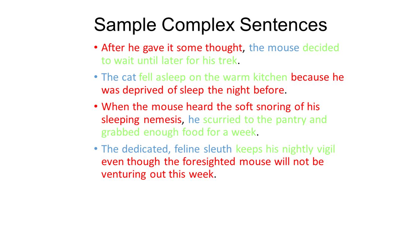 Sample Complex Sentences After he gave it some thought, the mouse decided to wait until later for his trek.