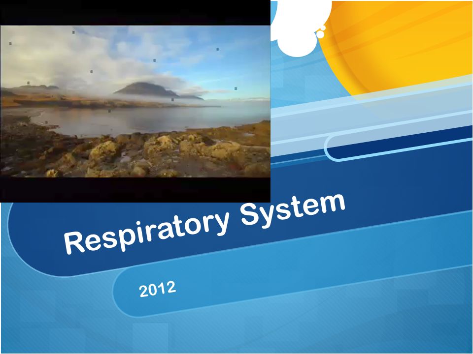 Respiratory System 2012