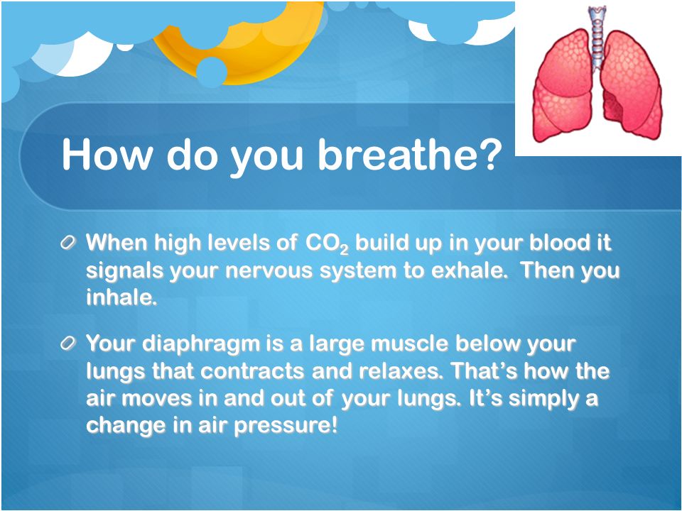 How do you breathe.