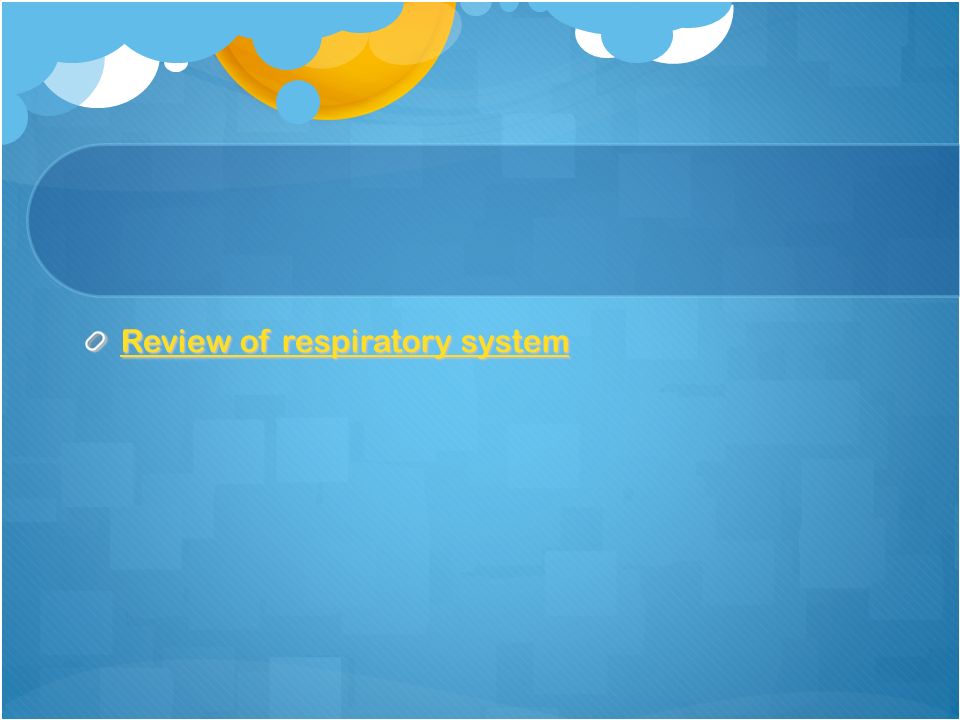 Review of respiratory system Review of respiratory system