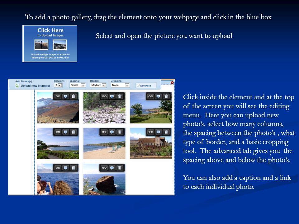 To add a photo gallery, drag the element onto your webpage and click in the blue box Select and open the picture you want to upload Click inside the element and at the top of the screen you will see the editing menu.