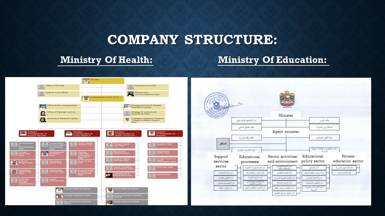 COMPANY STRUCTURE: Ministry Of Health: Ministry Of Education: Private education sector Minister Agent minister Educational policy sector Sector activities and environment Educational processes Support services sector