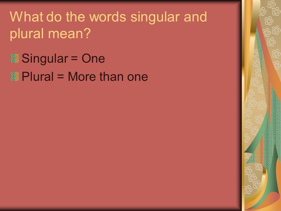 What do the words singular and plural mean Singular = One Plural = More than one