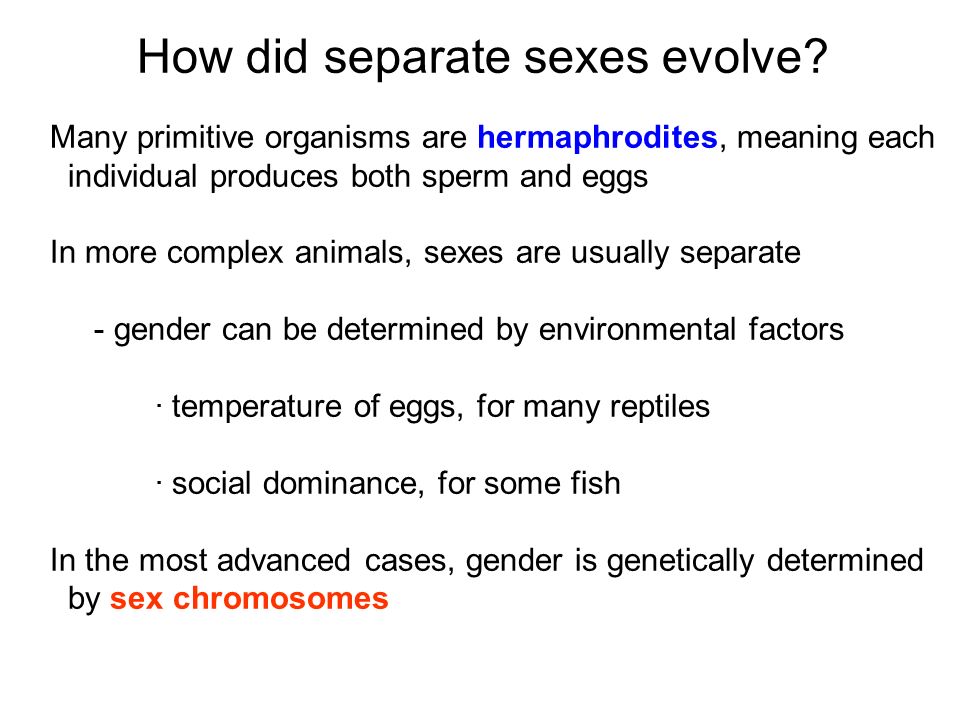Sex determination hostile environment sperm