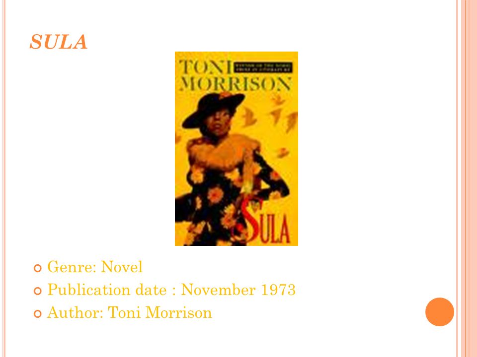 an analysis of nel and sula by toni morrison Trauma and place in toni morrison’s sula shu-ling chen sula tells nel that every colored woman in their country is “dying” “like a stump. an analysis of nel and sula by toni morrison Trauma and place in toni morrison’s sula shu-ling chen sula tells nel that every colored woman in their country is “dying” “like a stump.