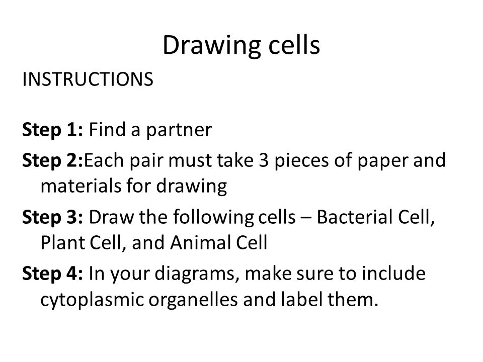 Drawing cells INSTRUCTIONS Step 1: Find a partner Step 2:Each pair must take 3 pieces of paper and materials for drawing Step 3: Draw the following cells – Bacterial Cell, Plant Cell, and Animal Cell Step 4: In your diagrams, make sure to include cytoplasmic organelles and label them.