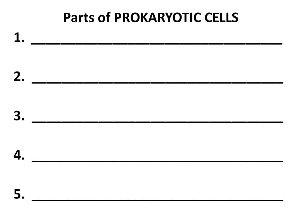 Parts of PROKARYOTIC CELLS 1.__________________________________ 2.