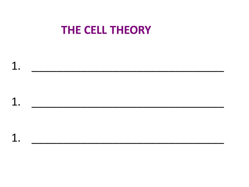 THE CELL THEORY 1._______________________________