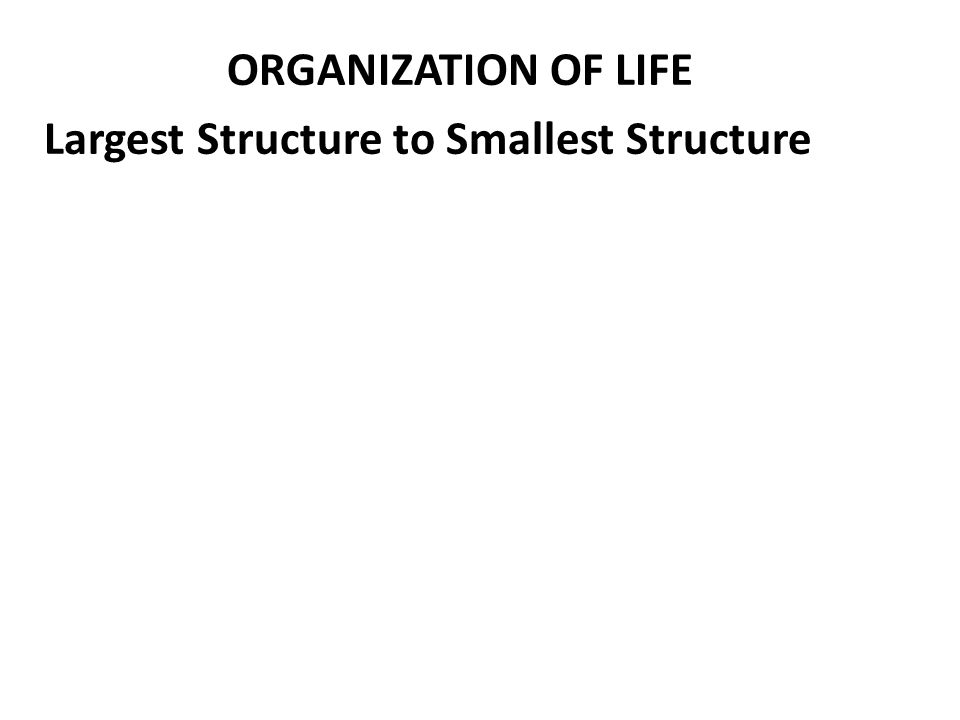 ORGANIZATION OF LIFE Largest Structure to Smallest Structure