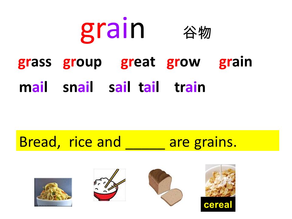 grain 谷物 Bread, rice and _____ are grains.