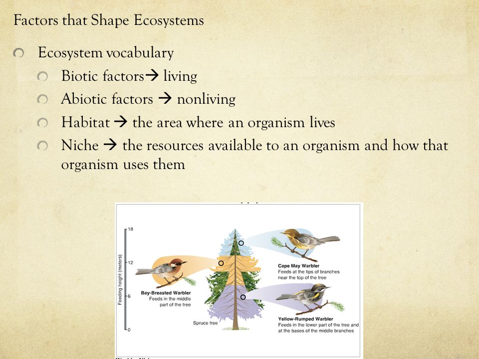Factors that Shape Ecosystems Ecosystem vocabulary Biotic factors  living Abiotic factors  nonliving Habitat  the area where an organism lives Niche  the resources available to an organism and how that organism uses them