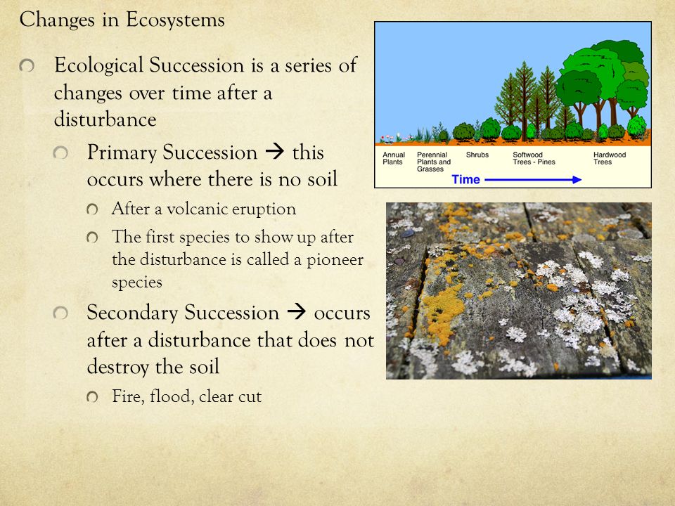 Changes in Ecosystems Ecological Succession is a series of changes over time after a disturbance Primary Succession  this occurs where there is no soil After a volcanic eruption The first species to show up after the disturbance is called a pioneer species Secondary Succession  occurs after a disturbance that does not destroy the soil Fire, flood, clear cut