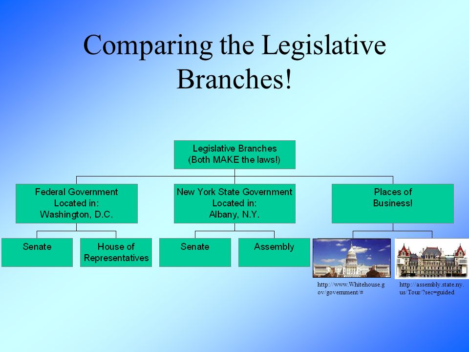 Comparing the Executive Branches.
