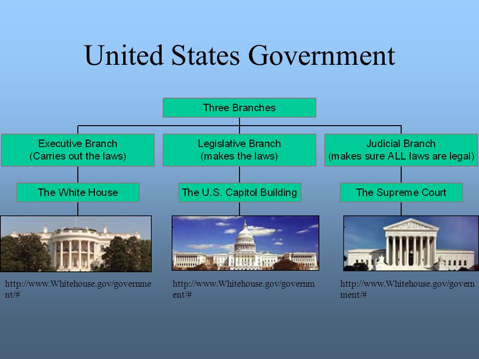 Our Government – A look at our Federal and New York State Governments Presented to: 8th.
