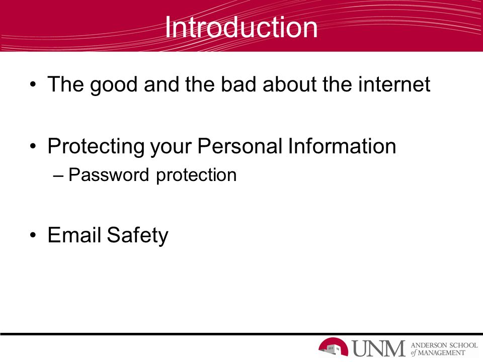 Introduction The good and the bad about the internet Protecting your Personal Information –Password protection  Safety