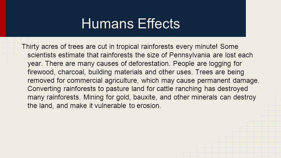 What are some of the human effects on the taiga biome?