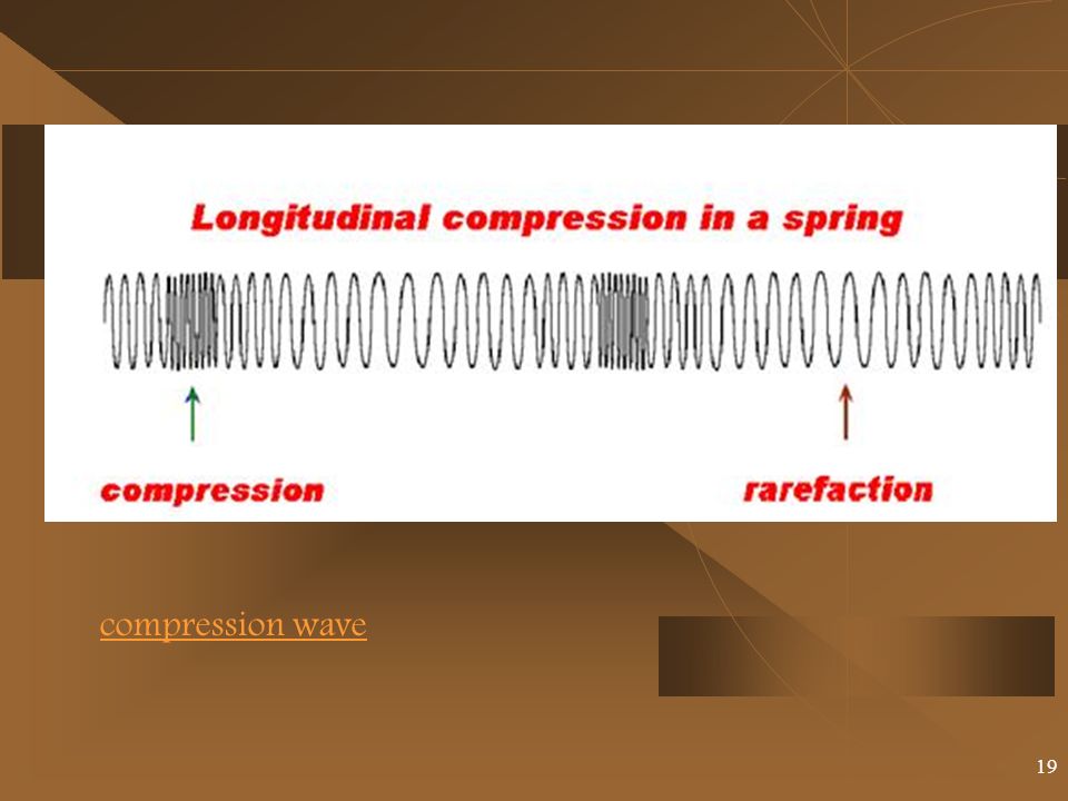 19 compression wave