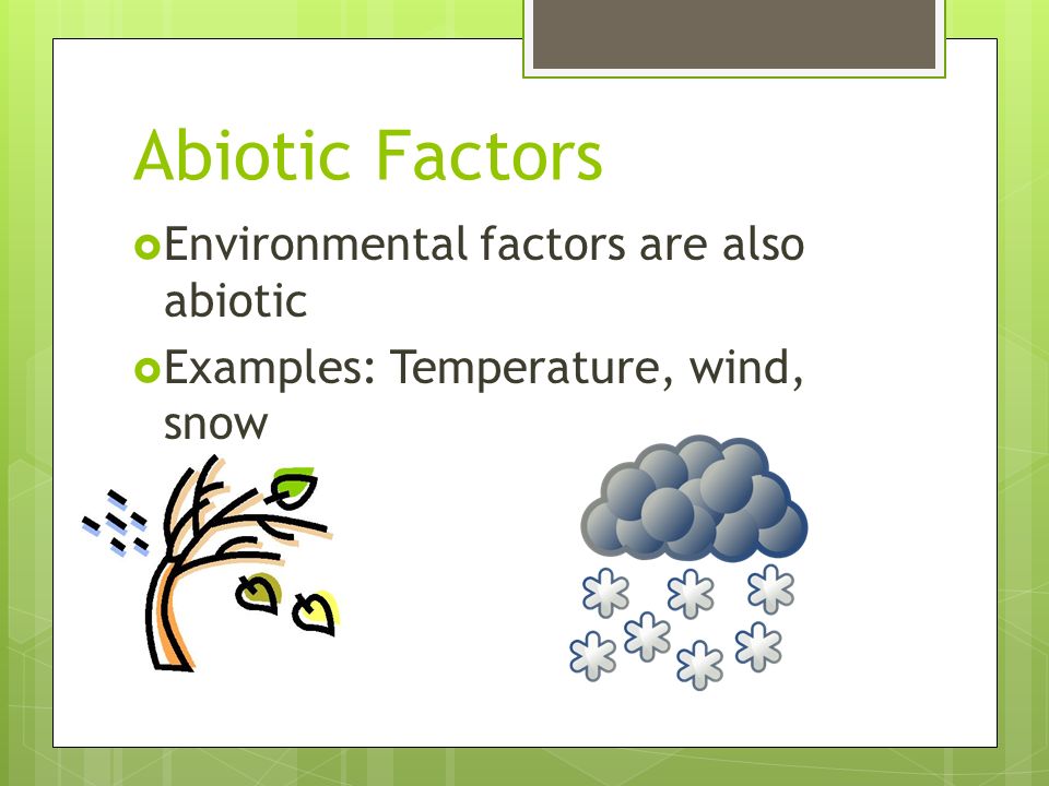 biotic abiotic factors biotic abiotic factors