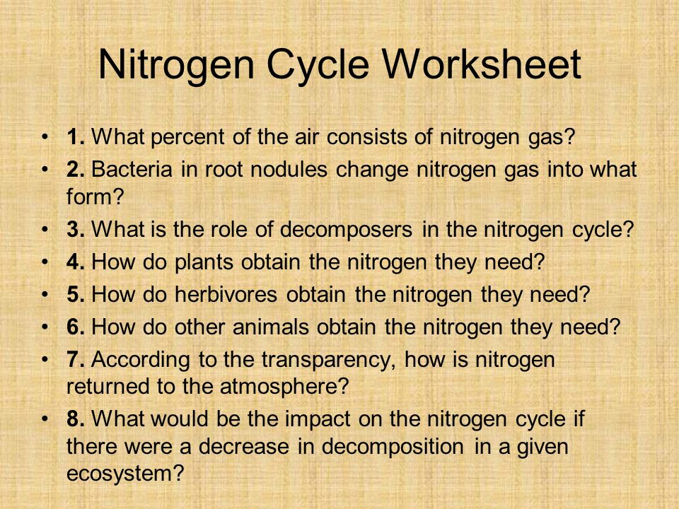 Worksheet The Nitrogen Cycle Worksheet Answers transparency worksheet the nitrogen cycle answers intrepidpath 1 what percent of air consists gas 2 ecology part general biology food chains webs