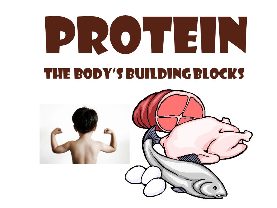 protein the bodys building blocks energy fats and oils 9 proteins the building blocks of proteins are