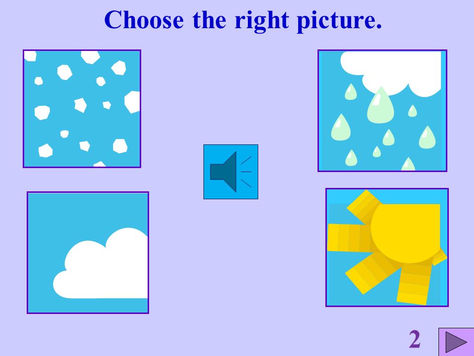 Choose the right picture. 1