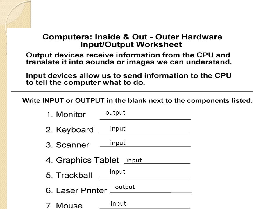 basic computer hardware and software worksheets