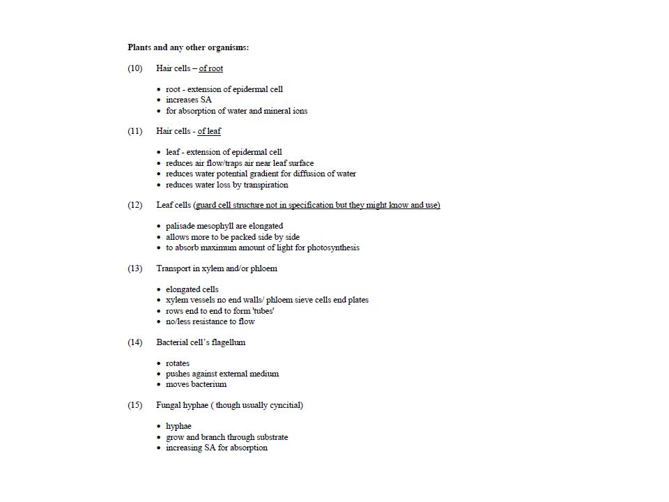 Guide To Writing An Essay Gallaudet University Function Of Plant Plant Cell Essay Lok Lehrte Voluntary Action Orkney Plant Cell Structure And Function Worksheet What Is A Thesis Statement In An Essay Examples also English Essays Book Business Writing Services Uk