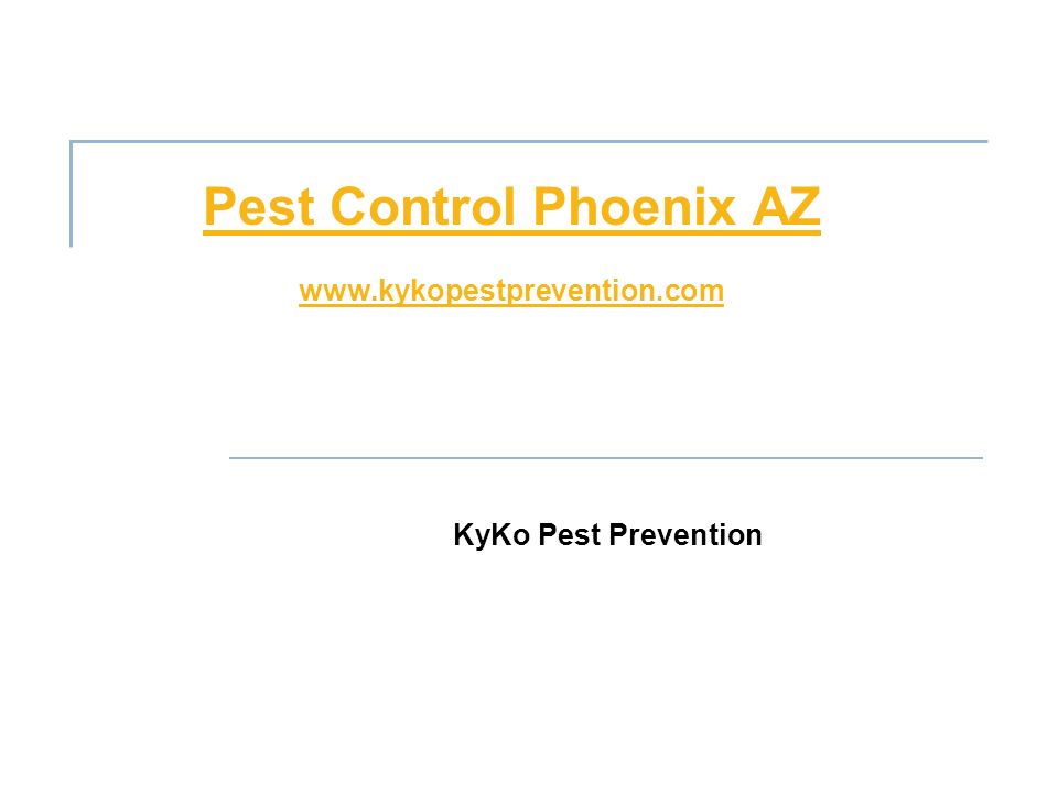 Pest Control Phoenix AZ   KyKo Pest Prevention