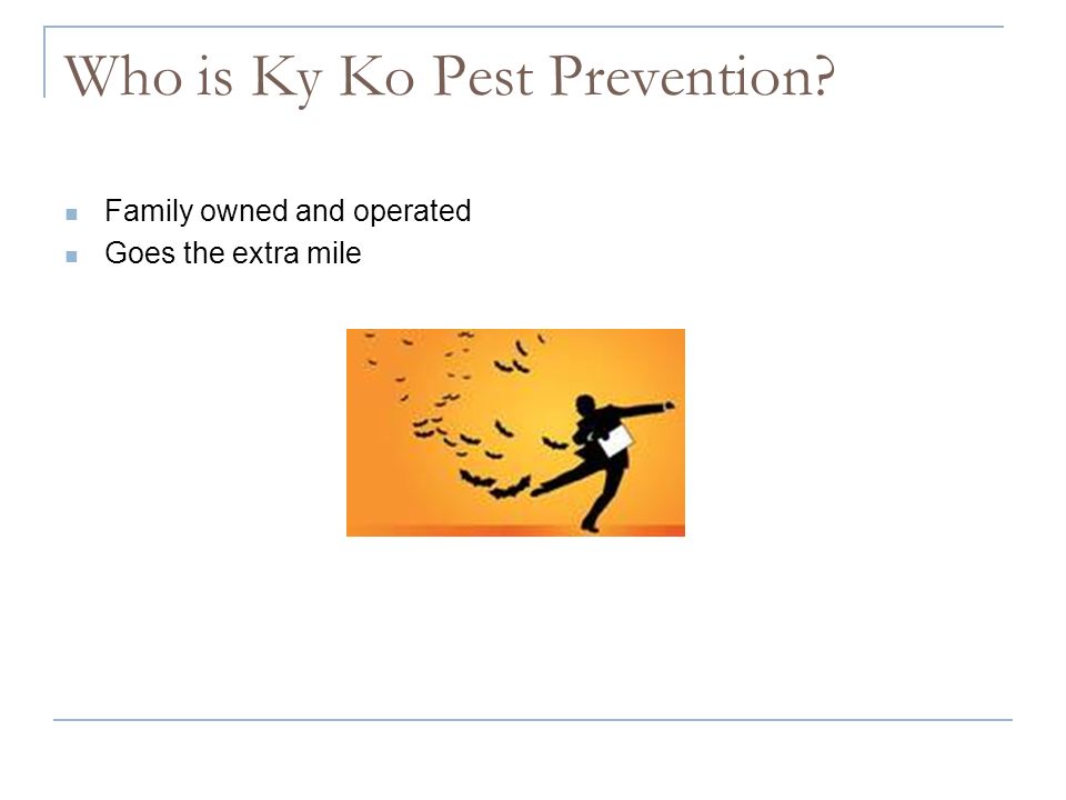 Who is Ky Ko Pest Prevention Family owned and operated Goes the extra mile