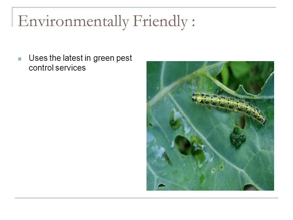 Environmentally Friendly : Uses the latest in green pest control services