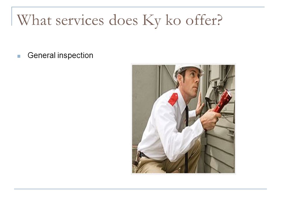 What services does Ky ko offer General inspection