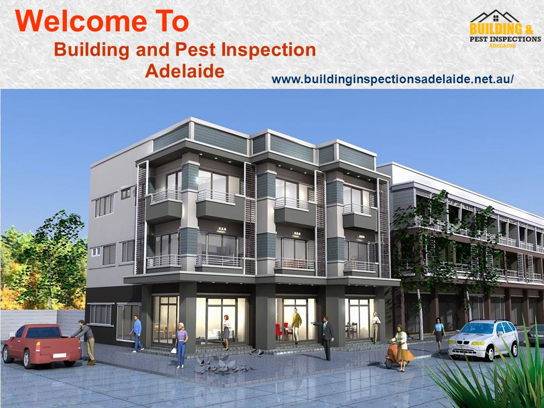 Building and Pest Inspection Adelaide Welcome To
