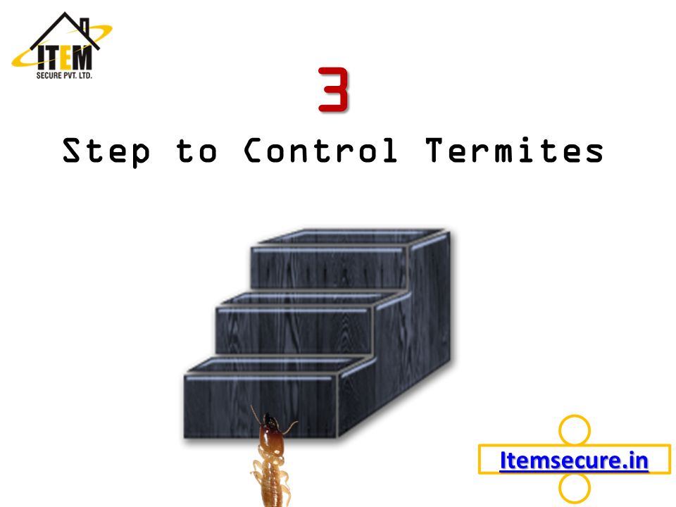 3 3 Step to Control Termites Itemsecure.in