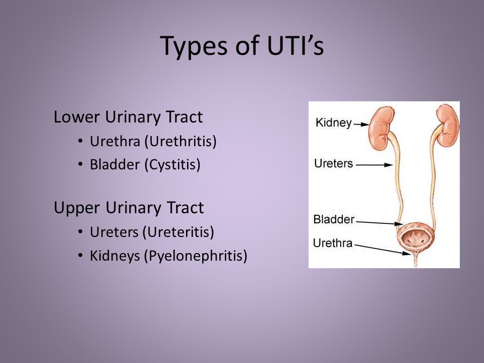 Cipro And Bladder Infections