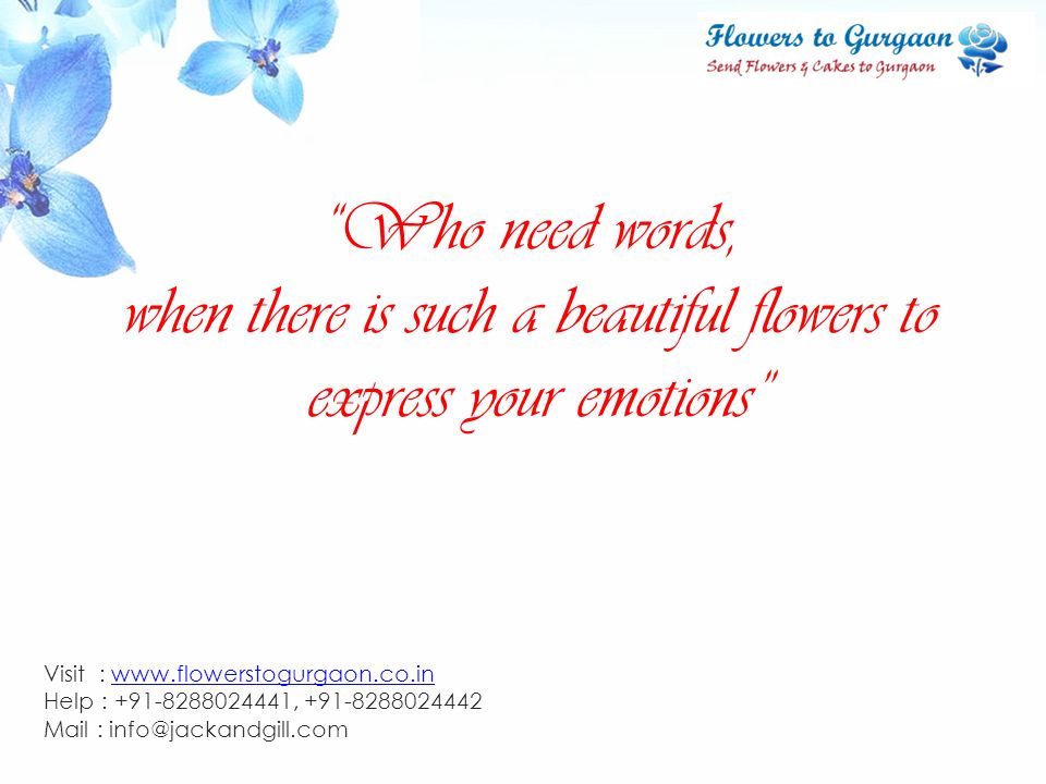Visit :   Help : , Mail : Who need words, when there is such a beautiful flowers to express your emotions