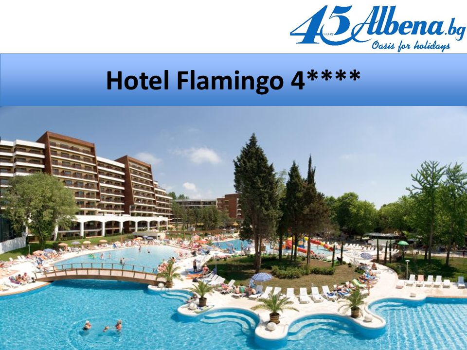 Hotel Flamingo 4****