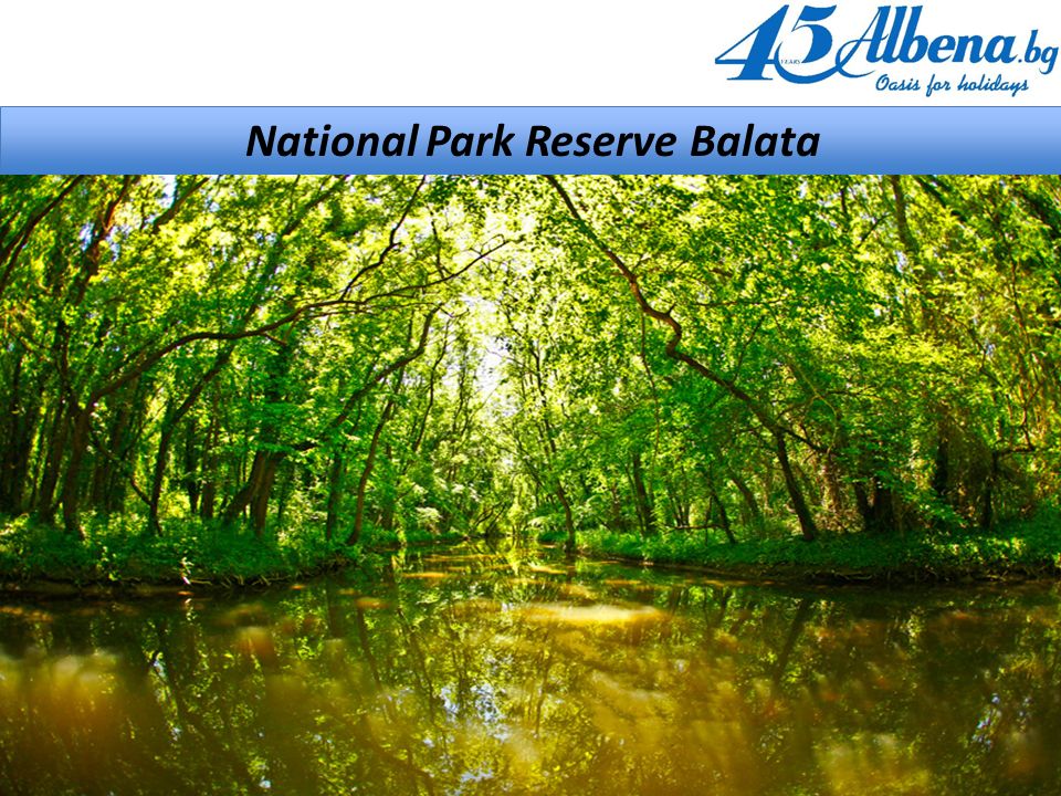 National Park Reserve Balata