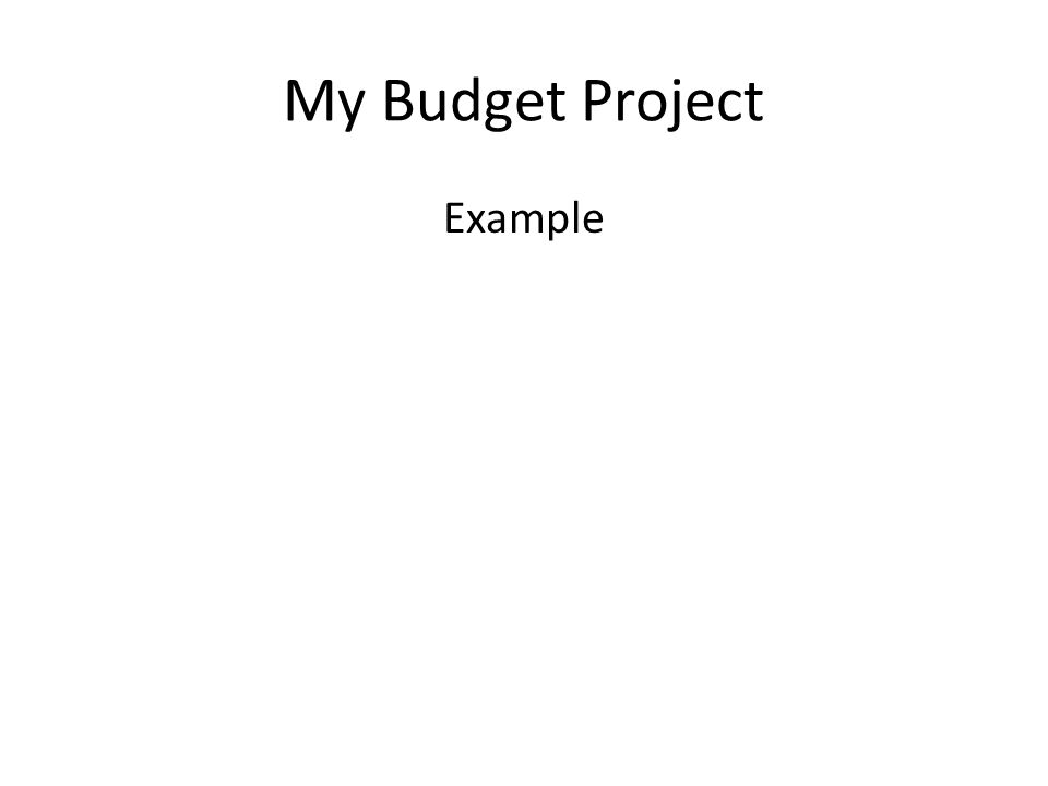budget project for students