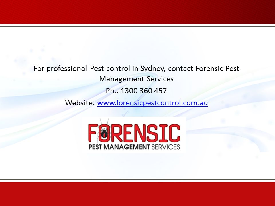 For professional Pest control in Sydney, contact Forensic Pest Management Services Ph.: Website: