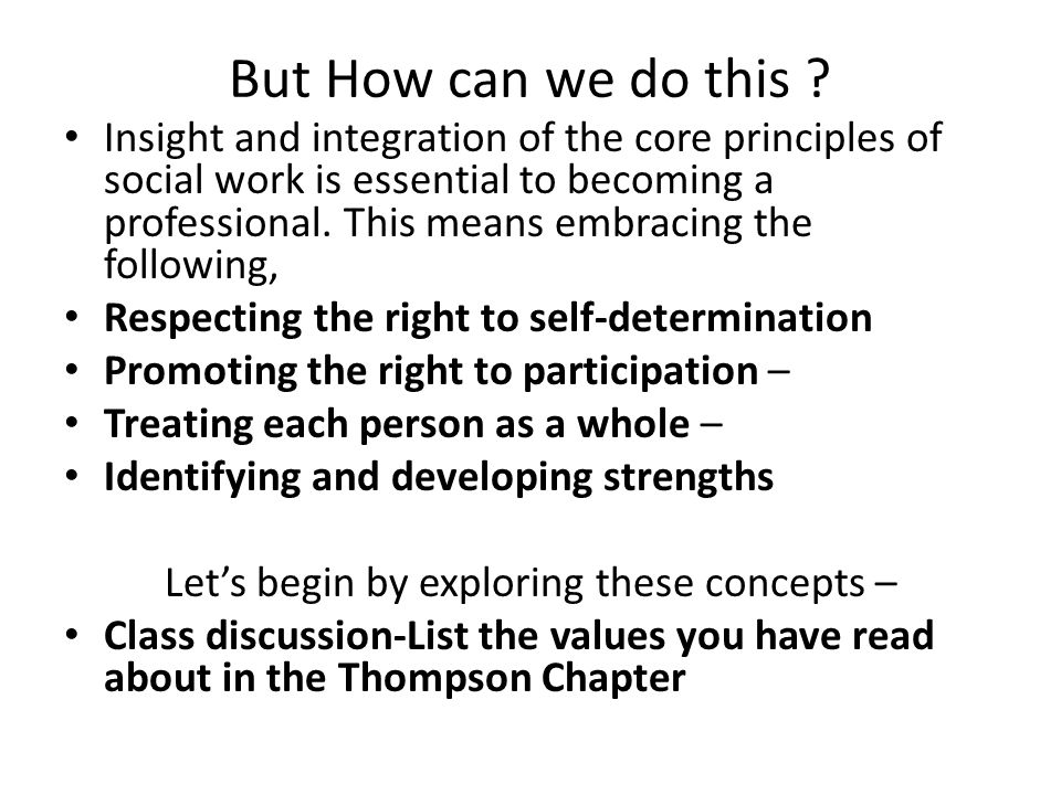 essay about organizing knowledge and wisdom