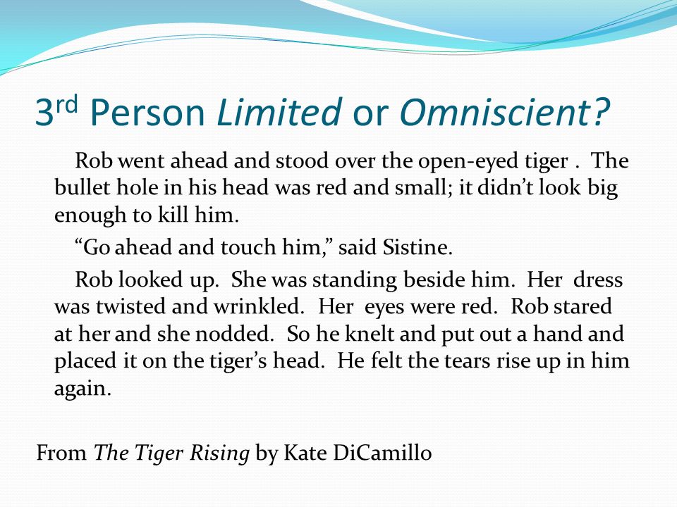 3 rd Person Limited or Omniscient. Rob went ahead and stood over the open-eyed tiger.