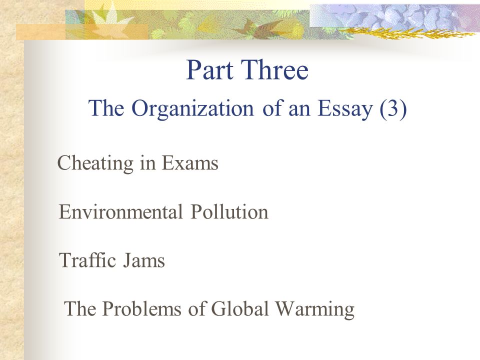 An Essay About Environment