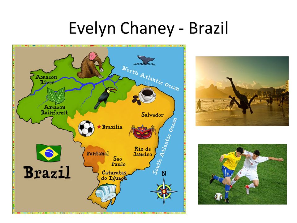 Evelyn Chaney - Brazil