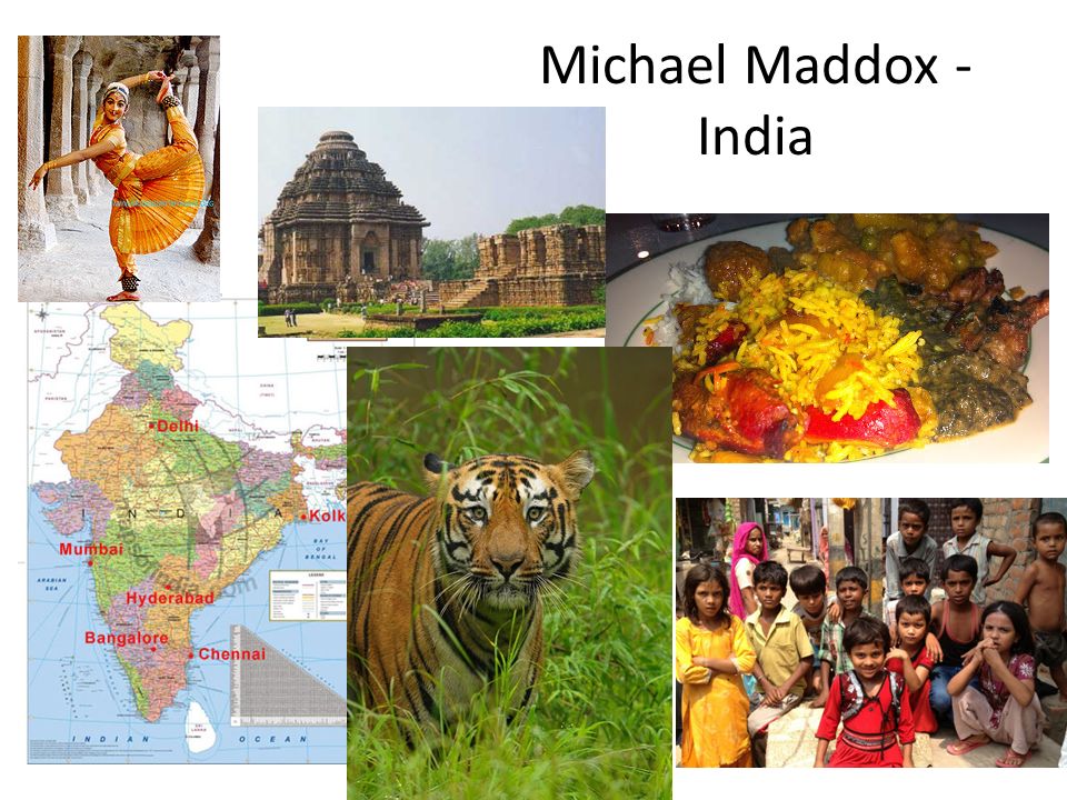 Michael Maddox - India