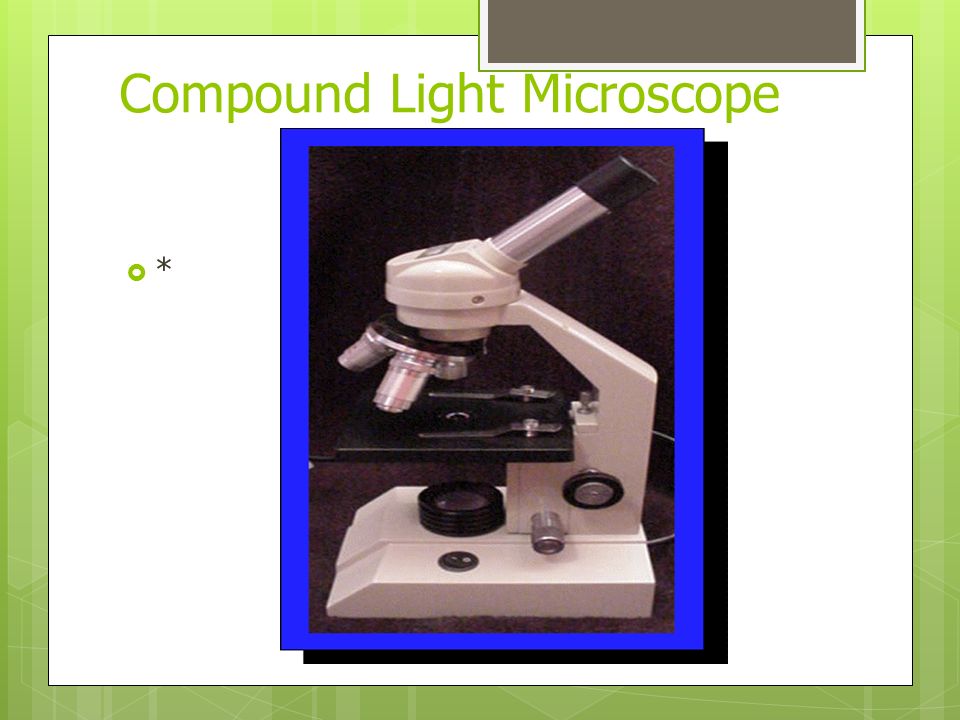 Compound Light Microscope **